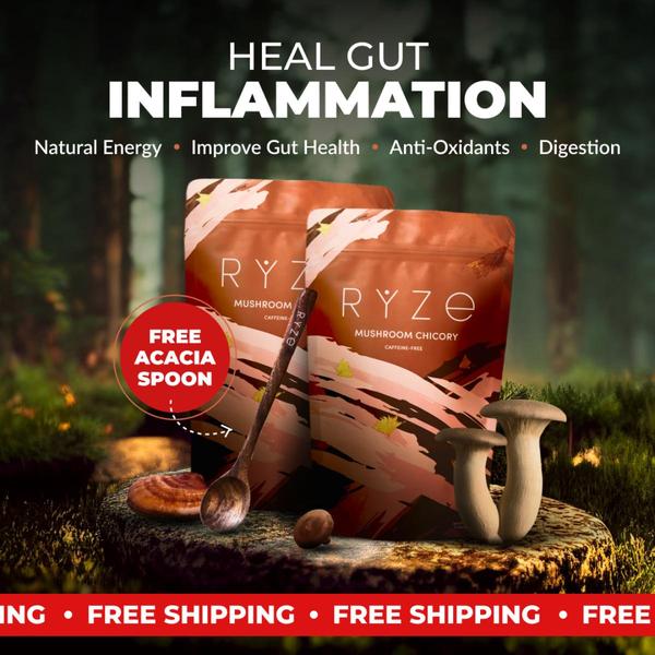 This square ad creative positions mushroom chicory coffee as a digestive and anti-inflammatory health drink using organic, nature-centric imagery.